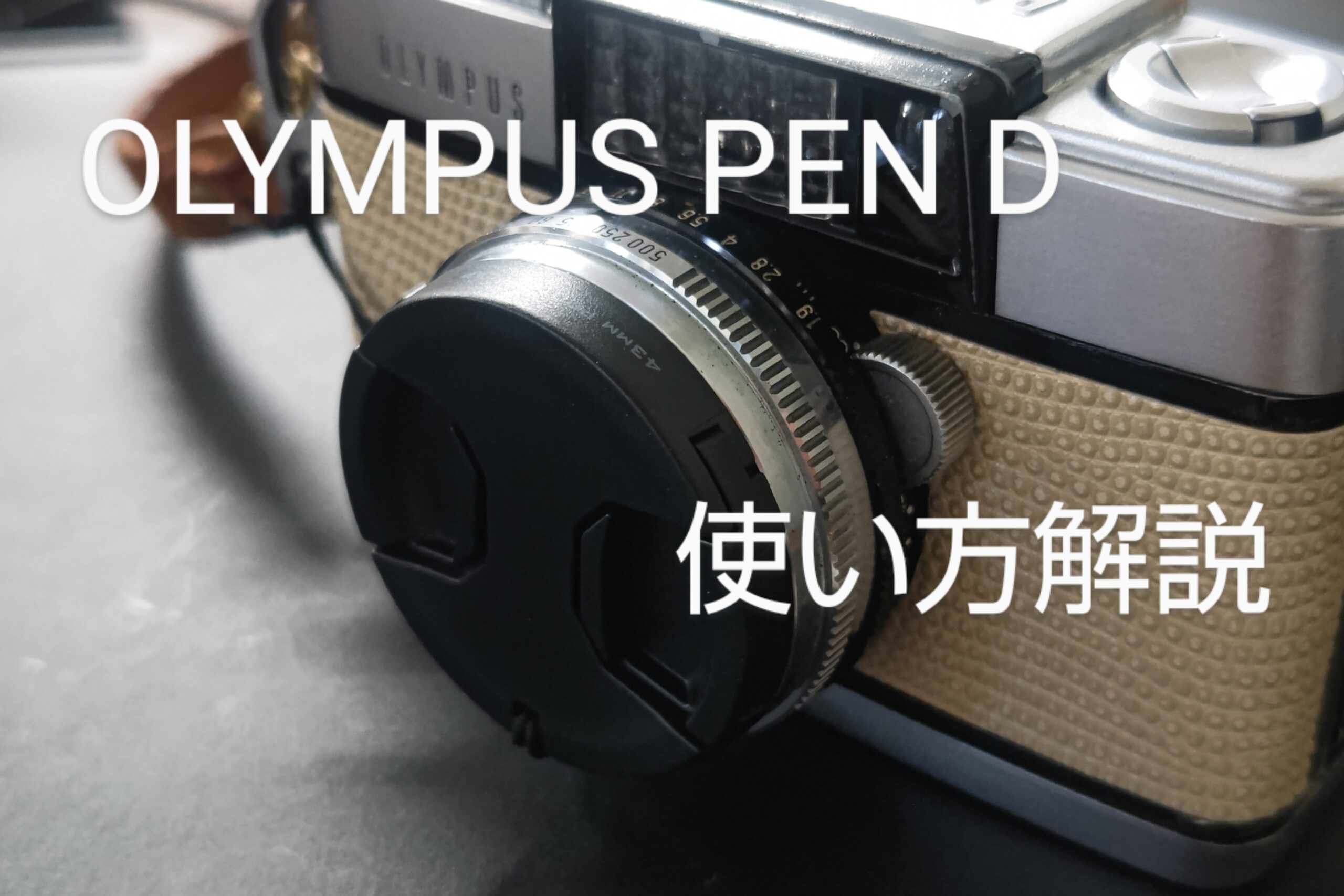 ハーフカメラ「Olympus PEN D」の使い方 - PHOTOWALK~写真やカメラの話~