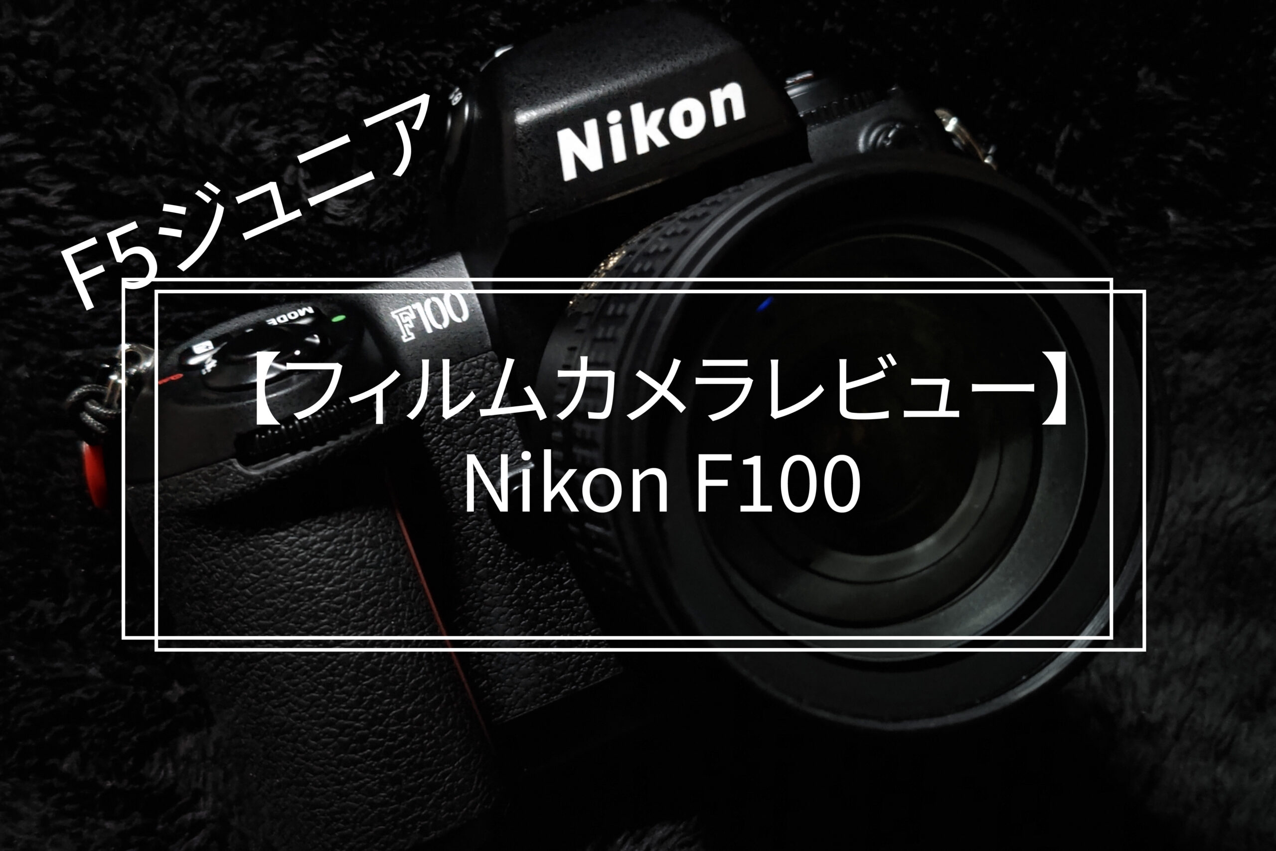 フィルムカメラレビュー】Nikon F100 - PHOTOWALK~写真やカメラの話~