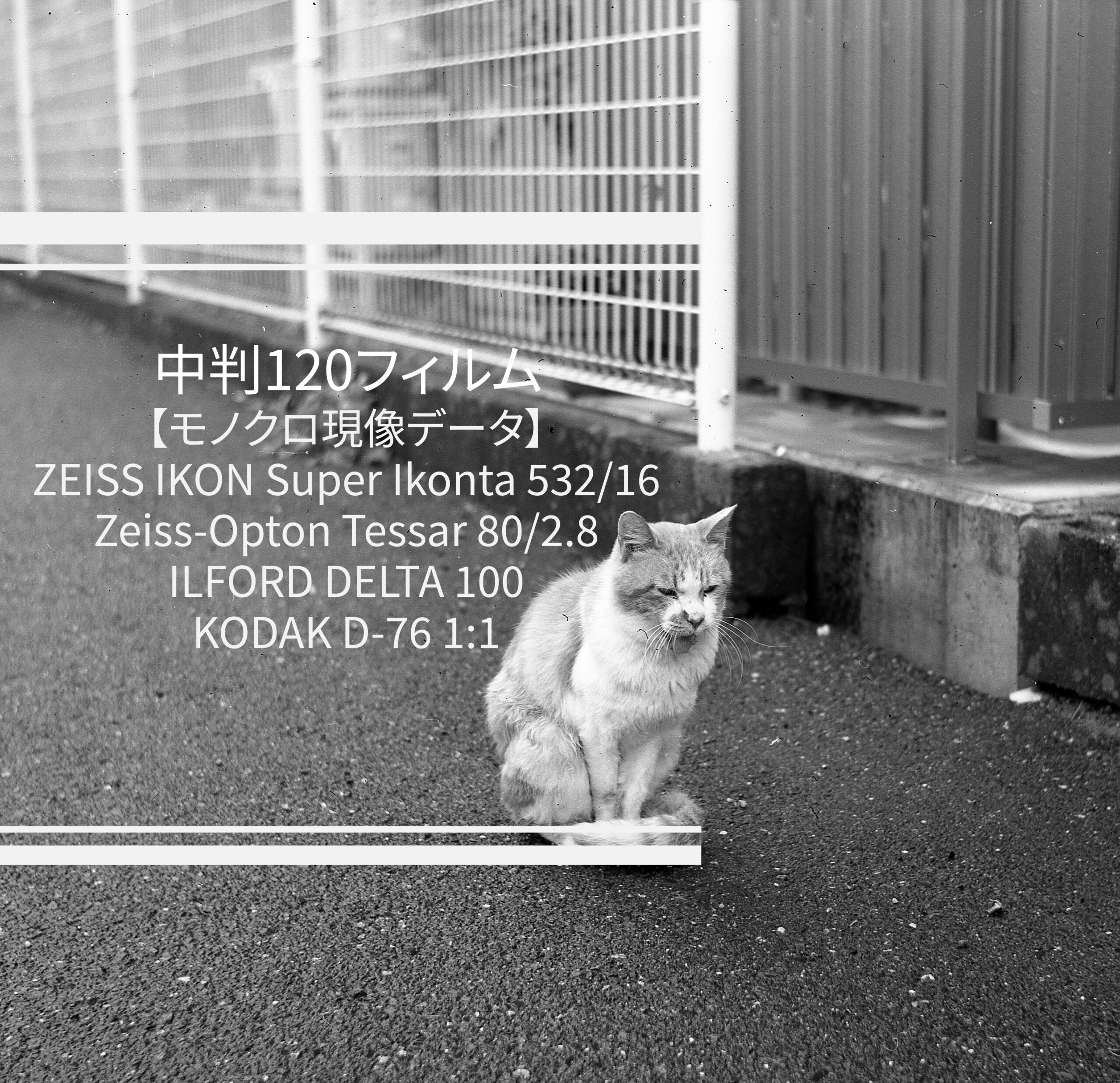 モノクロ現像データ】中判、120フィルム/ZEISS IKON SUPER IKONTA 532 ...