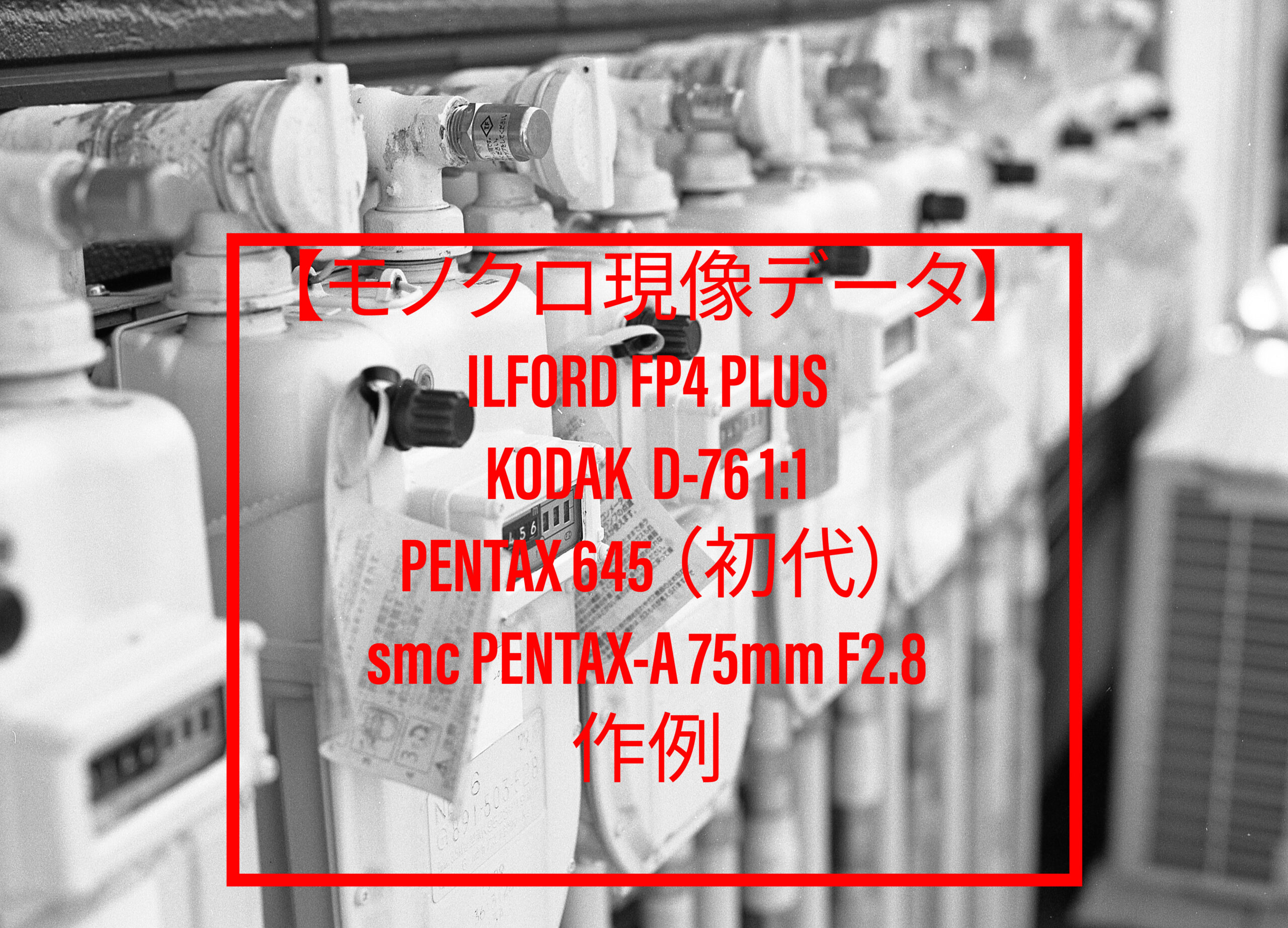 ILFORD 120 中判フィルム イルフォード 使用期限切れ2022年よろしく