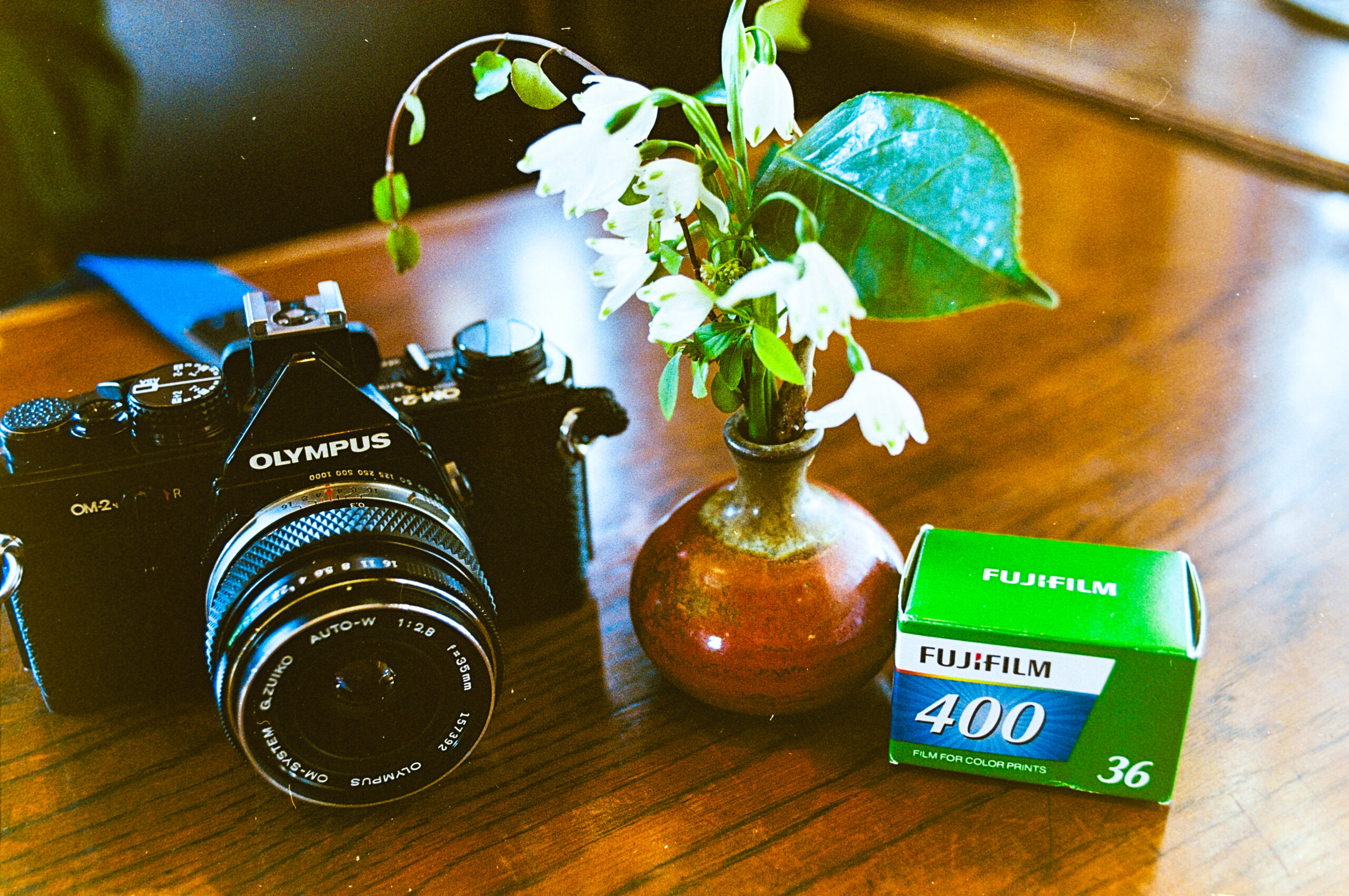 話題のカラーネガフィルム「FUJIFILM 400」の比較検証！ULTRAMAXと撮り