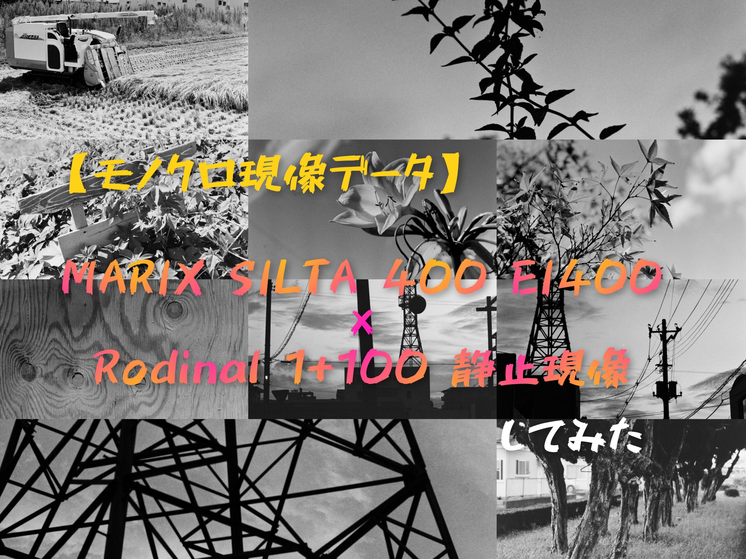 モノクロ現像データ】MARIX SILTA 400×Rodinal 1+100静止現像試して