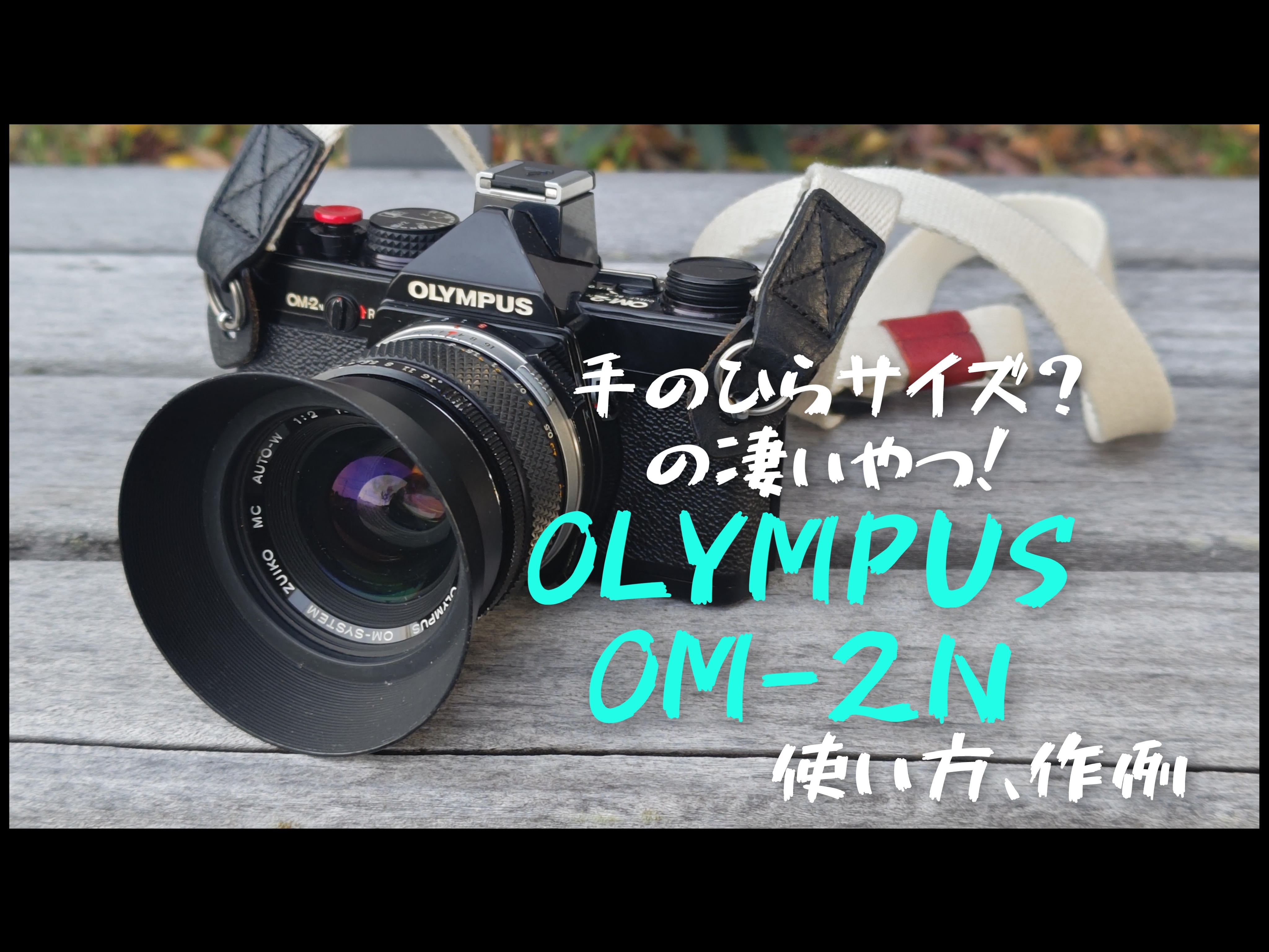 手のひらサイズ？の凄いやつ【OLYMPUS OM-2N】使い方、作例